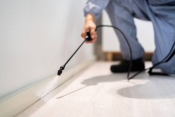 Licensed Cockroach Control service in Palestine, IL - Nex Pest Control