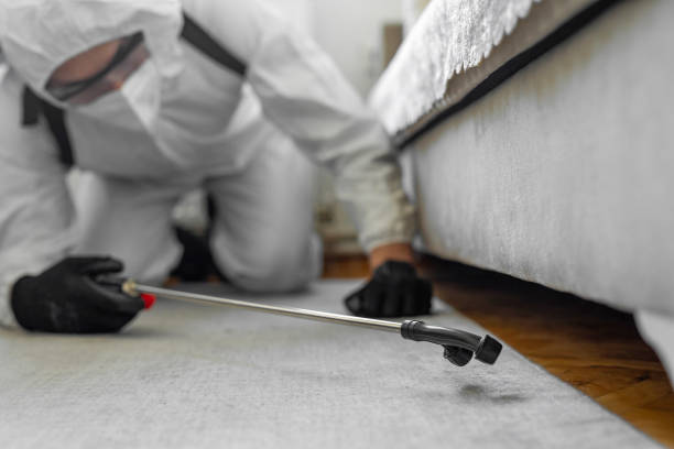 Professional Cockroach Control technician working in Palestine, IL