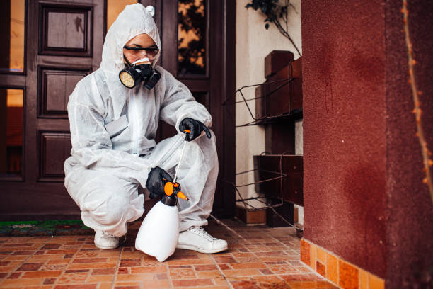 Reliable Cockroach Control contractor in Palestine, IL by Nex Pest Control