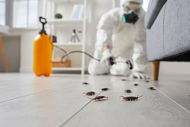 Affordable Cockroach Control solutions in Palestine, IL