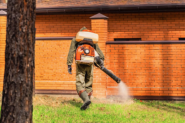 Top rated local Cockroach Control specialists in Palestine, IL